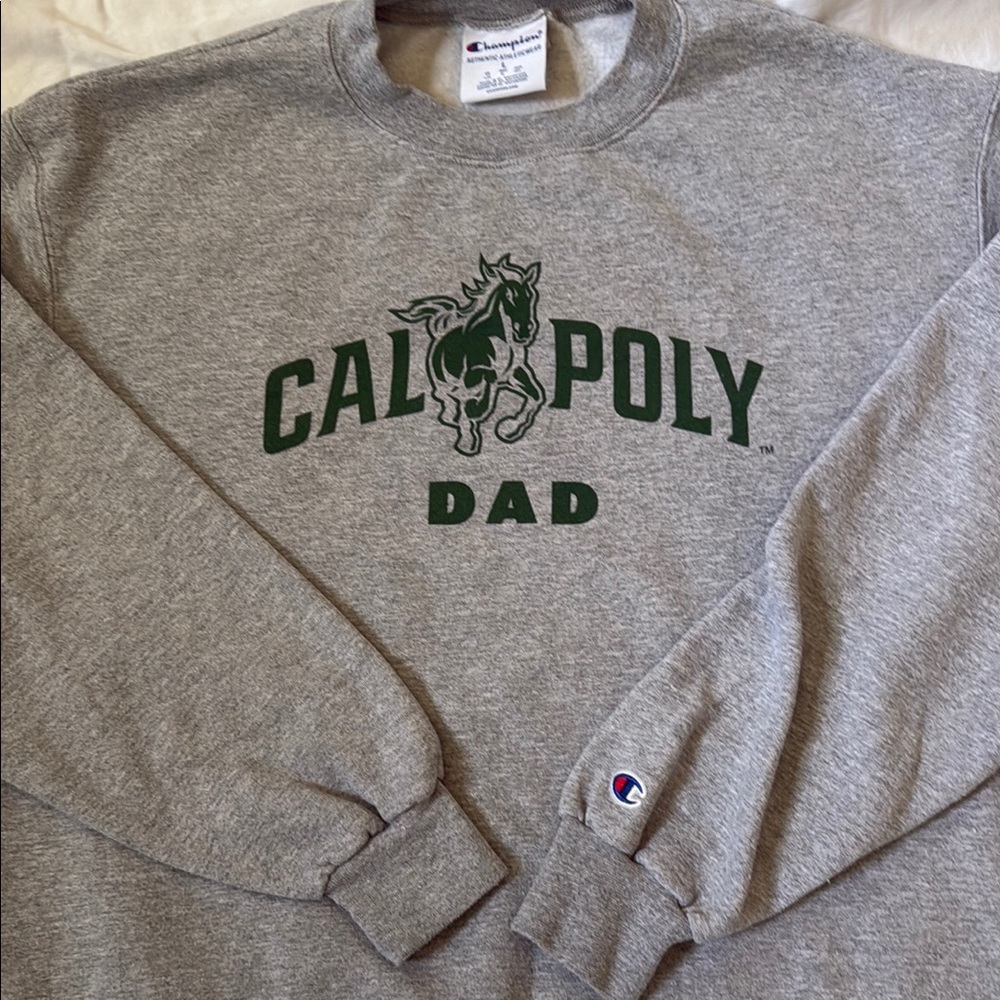 Champion Gray Crewneck Sweater
